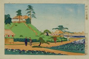 KIYOCHIKA/Iris at Horikiri, from Tokyo meisho (Famous places of Tokyo)のサムネール