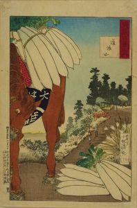 KIYOCHIKA/Dokan Hill, from Musashi hyakkei no uchi (One hundred views of Musashi Province)のサムネール
