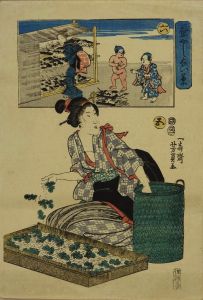 芳員/蚕やしない草　五　六のサムネール