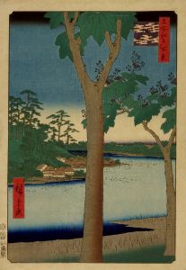 広重/名所江戸百景　赤坂桐畑のサムネール
