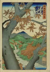 広重二代/諸国名所百景　泉州牛瀧　丹楓のサムネール