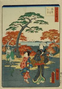 豊国三代・広重二代/江戸自慢三十六興　海案寺紅葉のサムネール