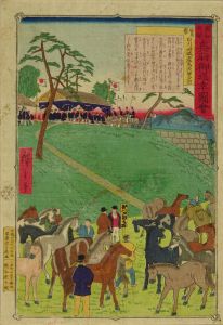 広重三代/報知新聞　奥羽御巡幸図会　福島県下白川旧城産馬天覧之図のサムネール