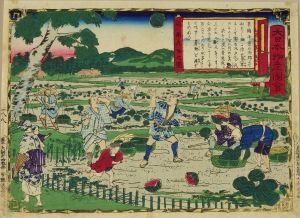 広重三代/大日本物産図会　上総国　西瓜畑之図のサムネール