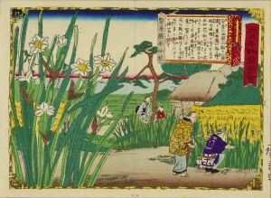 広重三代/大日本物産図会　安房国　水仙花のサムネール