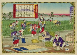 広重三代/大日本物産図会　近江国　青花紙製図のサムネール